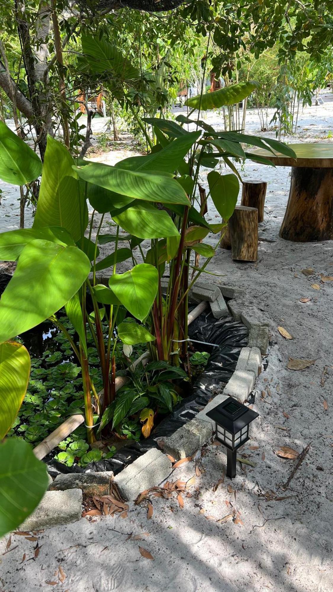 Golden Chenang Village Pantai Cenang  Bagian luar foto