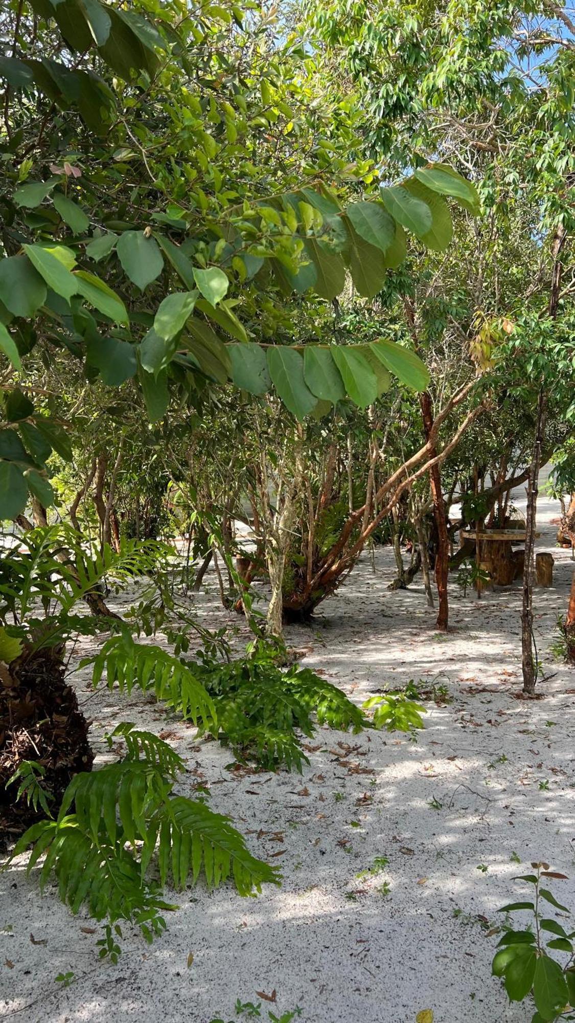 Golden Chenang Village Pantai Cenang  Bagian luar foto