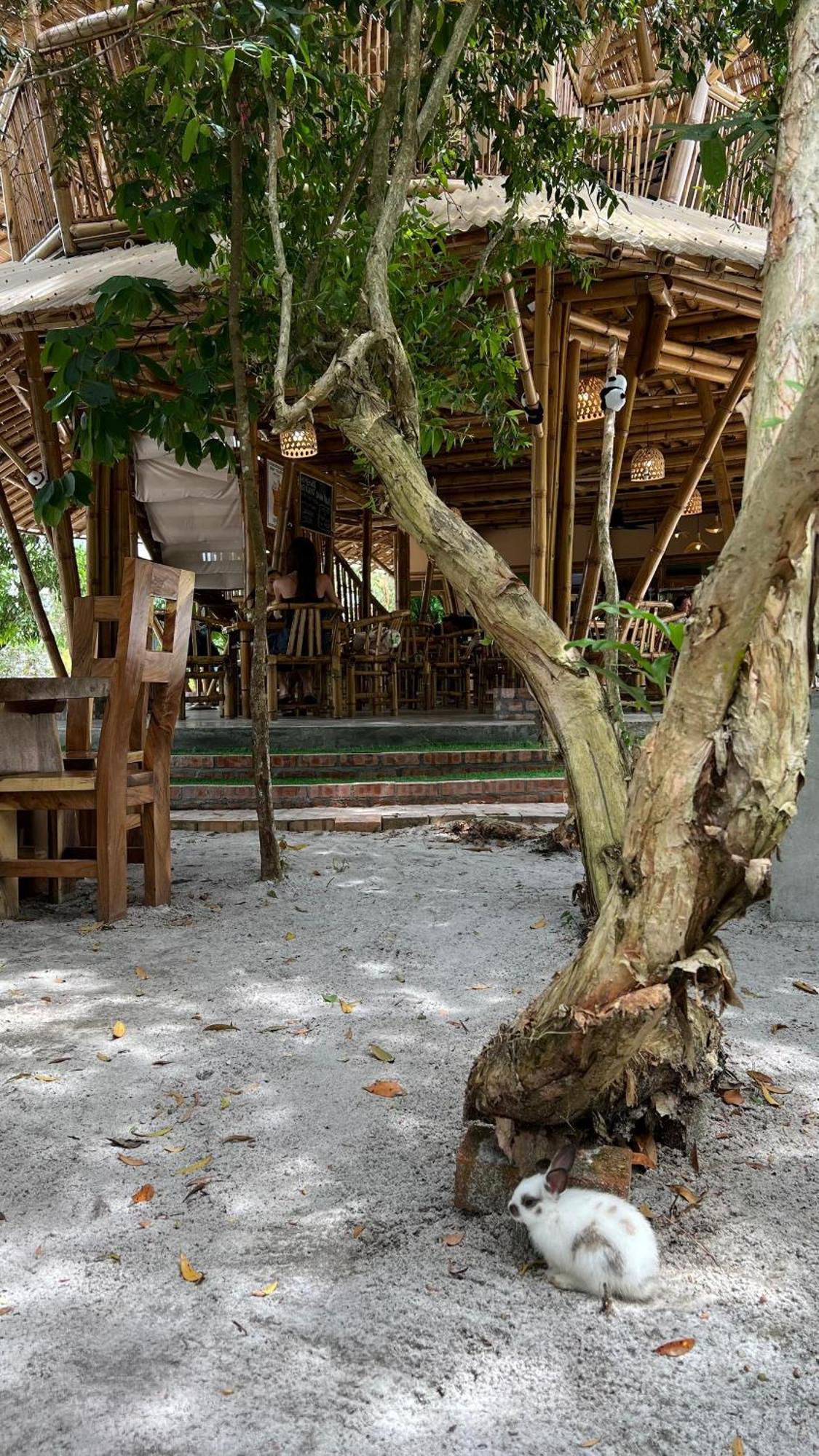 Golden Chenang Village Pantai Cenang  Bagian luar foto
