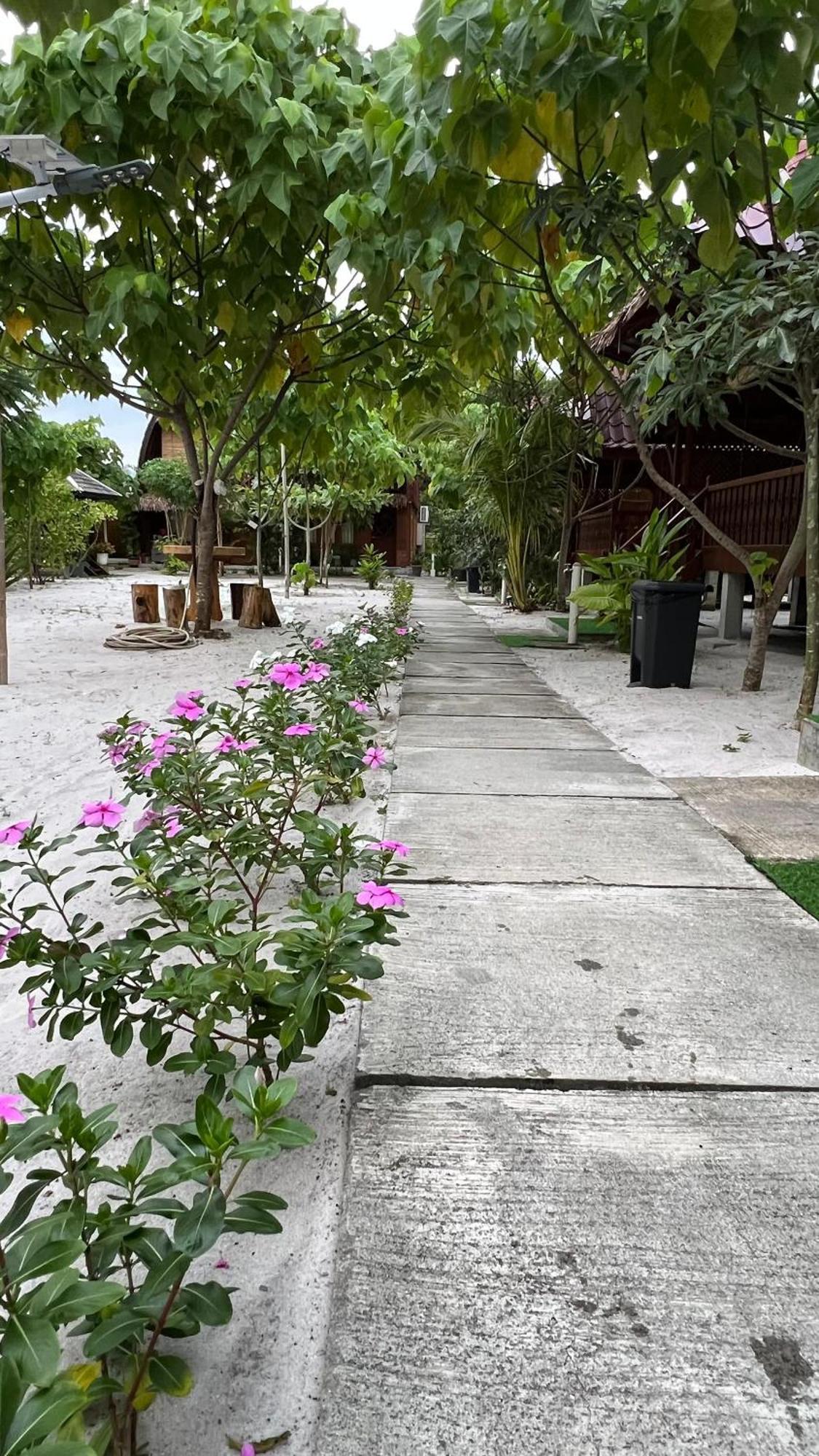 Golden Chenang Village Pantai Cenang  Bagian luar foto